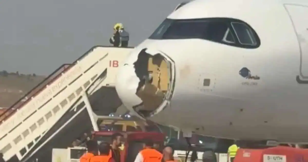 Avião da Iberia retorna após bico destruído em colisão com pássaro