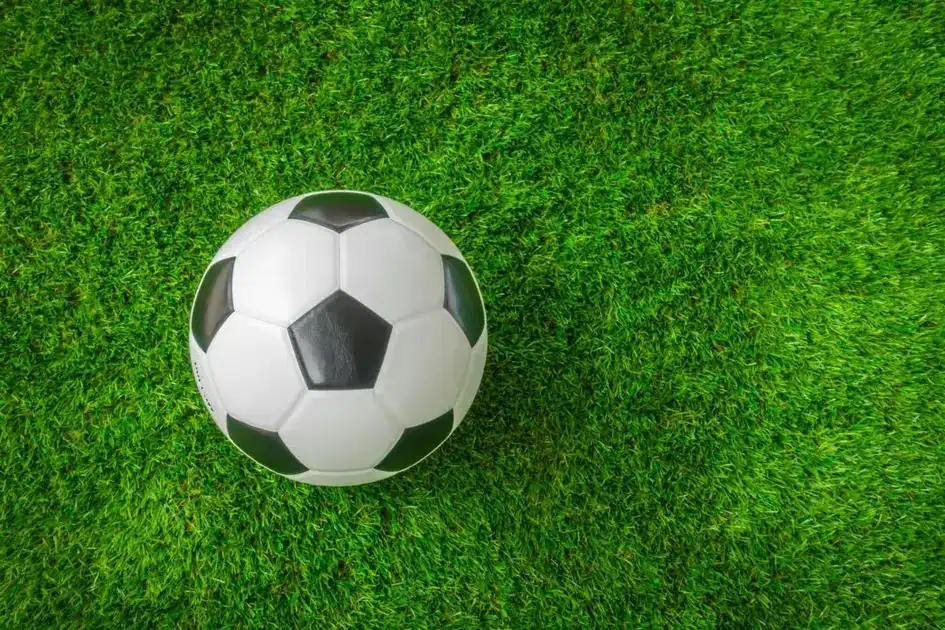 Clube Palmeiras é condenado por demissão discriminatória e indenização