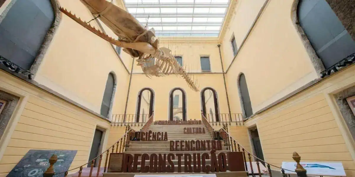 Museu Nacional Vive celebra avanços em festival gratuito no Rio de Janeiro