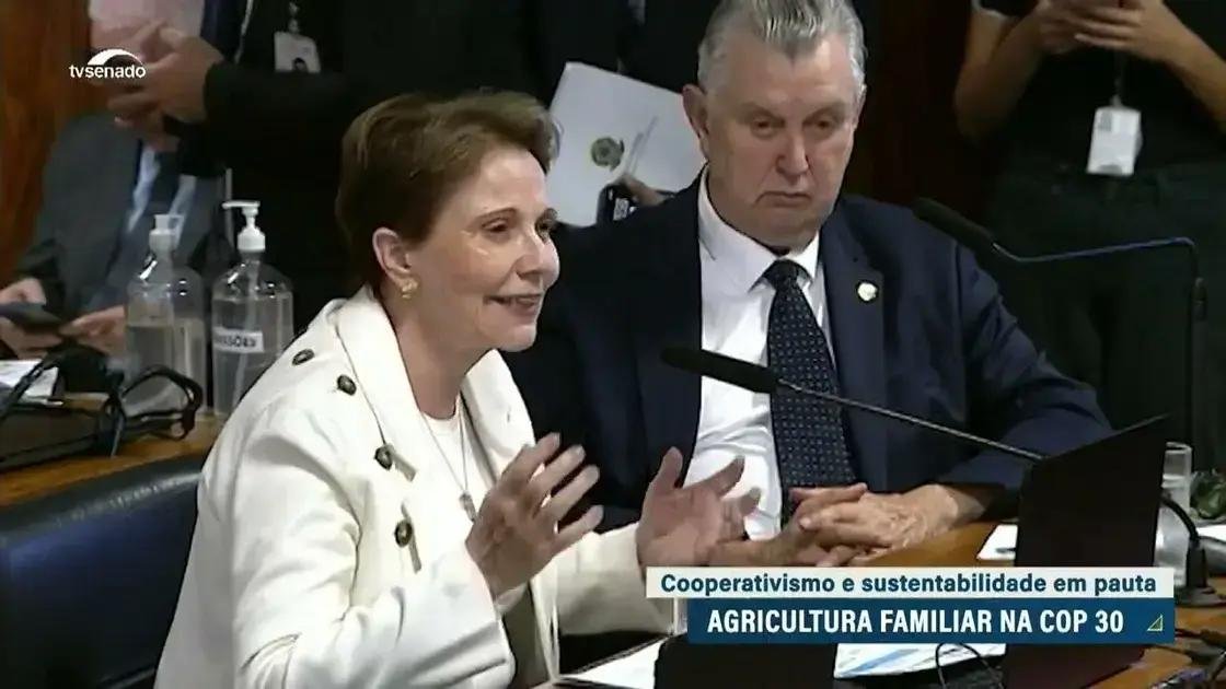 O papel essencial da agricultura familiar na sustentabilidade e na renda