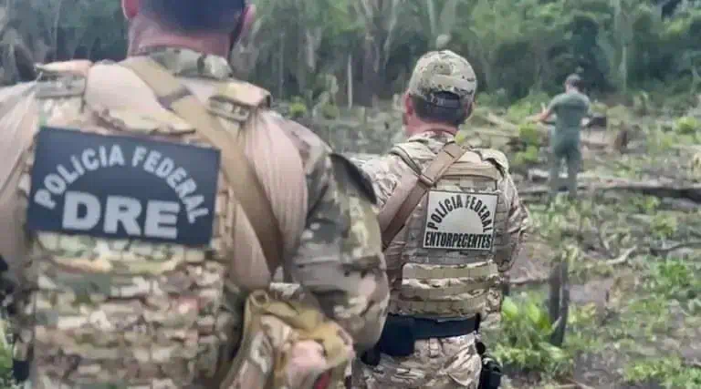 Polícia Federal realiza operação contra o cultivo ilegal de maconha no Amazonas