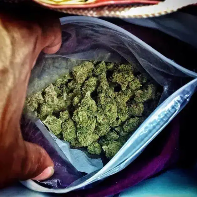 Posse de drogas na cadeia continua sendo falta grave, diz STJ