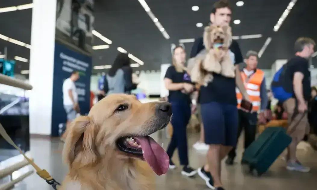 Fonte: Noticias.stf.jus.br