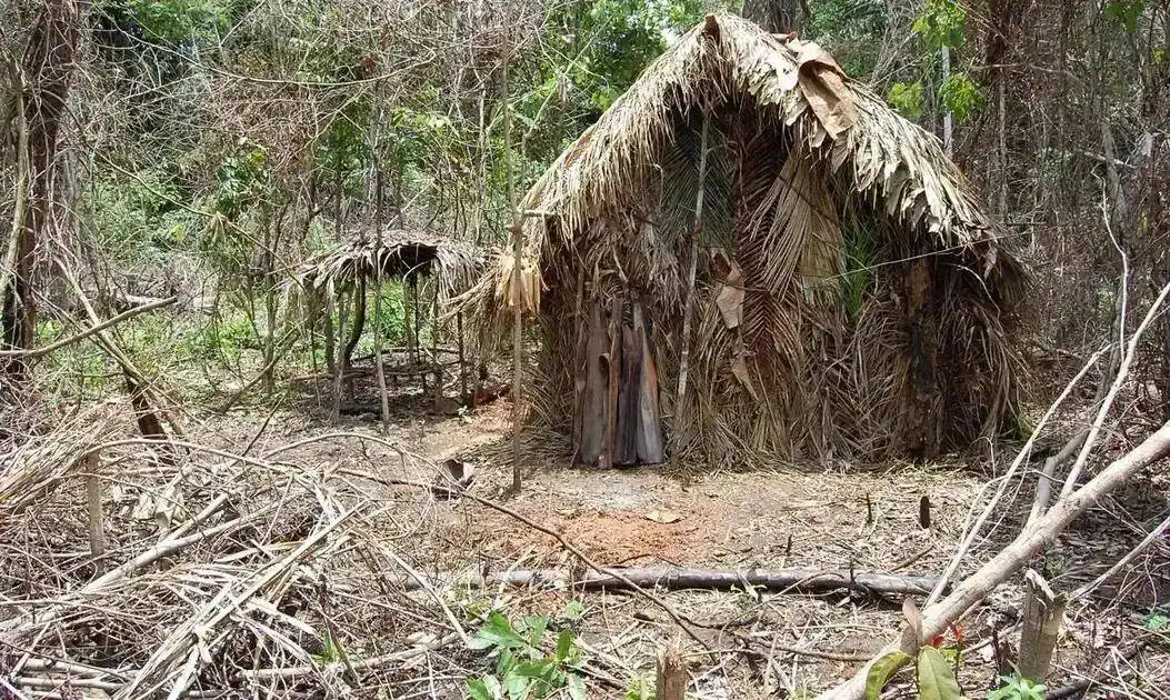 Aldeia indígena com casas de palha na floresta, ambiente natural Brasil, cultura indígena, tradição e preservação, direitos indígenas Brasil, notícias de direito e sociedade, direitos humanos, proteção cultural indígena.