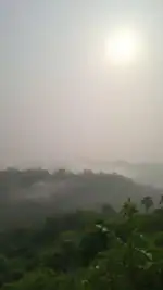 Você sabia que até a natureza pode ser 'criminosa'?