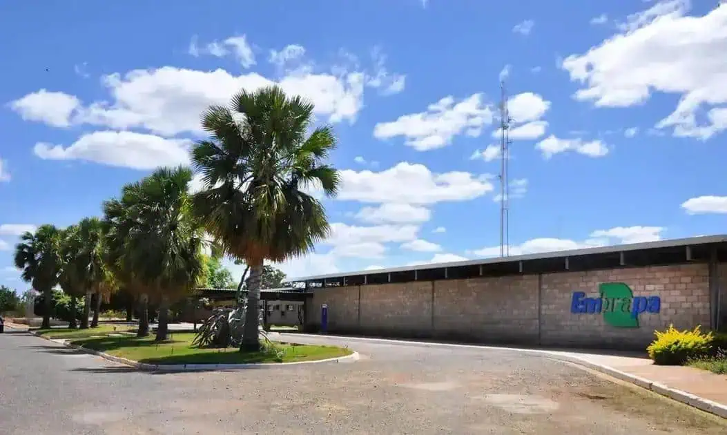 Empresas e direito trabalhista em foco na região de Embrapa com árvores e infraestrutura ao ar livre.