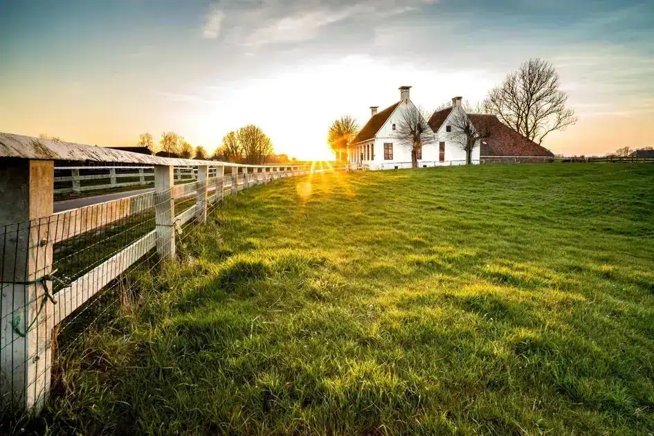Fazenda rural com casa branca ao pôr do sol, cercada por árvores e gramado verde, ambiente tranquilo e ideal para viver em contato com a natureza.