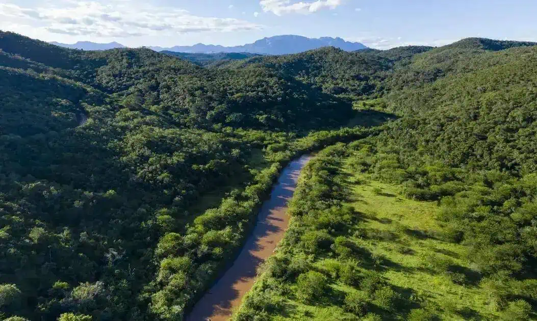 Paisagem de rio serpenteando por uma floresta densa em um cenário de montanhas, destacando a preservação ambiental e diversidade da natureza brasileira.