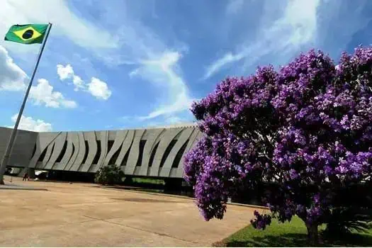 Edifício do Congresso Nacional em Brasília com árvore de jacarandá em destaque e bandeira do Brasil ao vento.