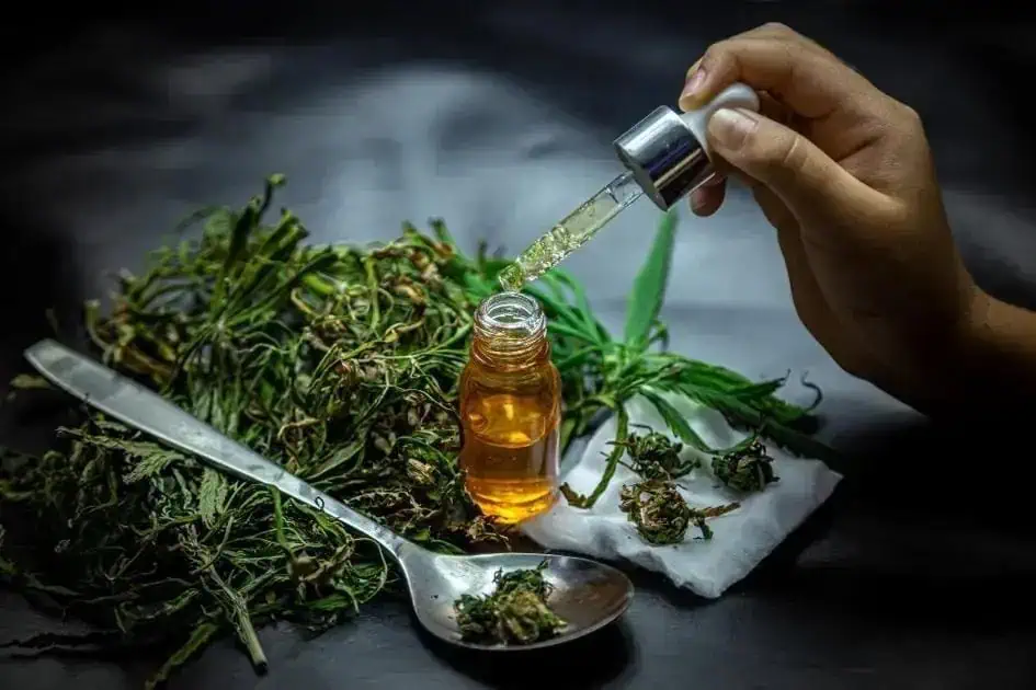 TRF-3 autoriza importação de sementes de cannabis para uso medicinal