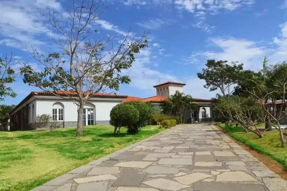 Acesso de pedra ao jardim de uma casa com árvores e céu azul claro.
