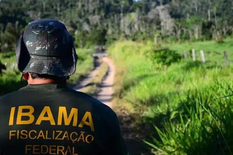 Fiscalização ambiental IBAMA, agente de fiscalização federal em ação no campo, fiscalização de leis ambientais, autoridade do IBAMA no combate ao desmatamento.