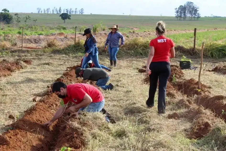 Justiça autoriza curso de medicina na UFPE para assentados de reforma agrária