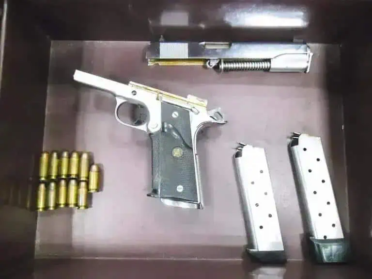 Arma de fogo, munições e revistas apreendidas pela polícia.