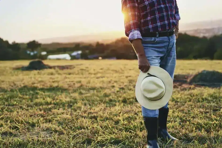 Ilegalidade em contratos de crédito rural e a exceção de pré-executividade