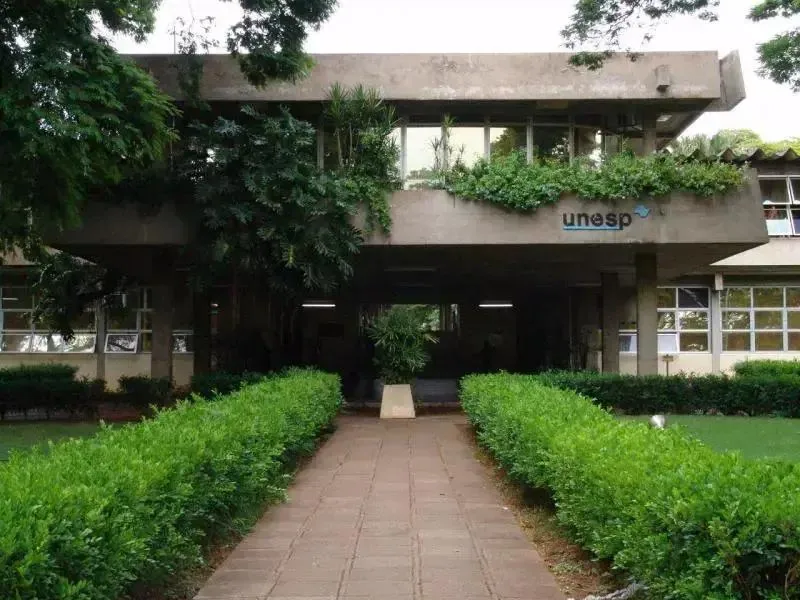 Unesp prorroga inscrições para Professor Assistente em Educação até 17 de dezembro