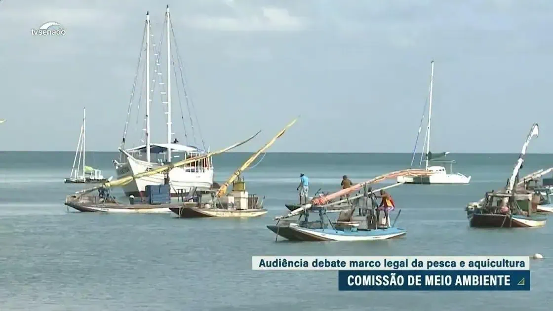 Debate no Senado propõe leis separadas para pesca e aquicultura