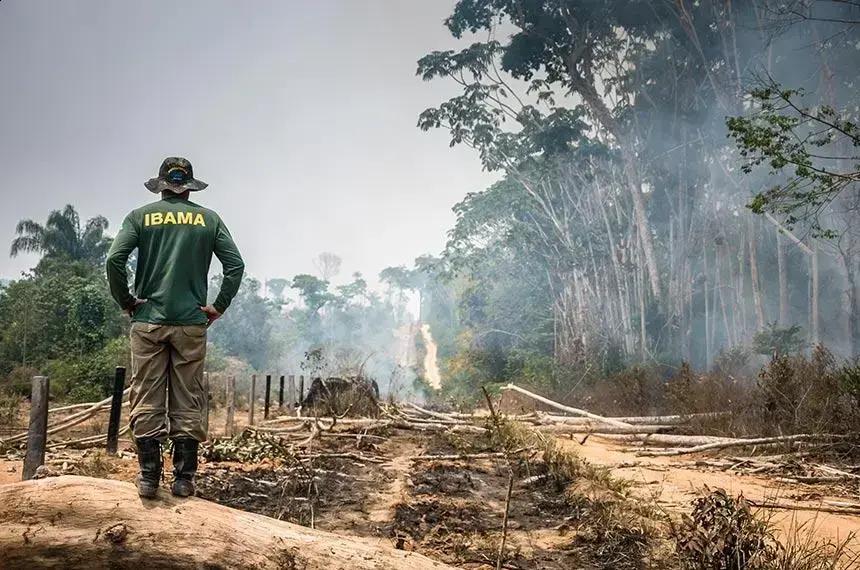 Governo libera R$ 60,46 milhões para combater incêndios e desmatamento