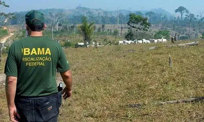 Ibama publica nomeação de 135 excedentes do concurso