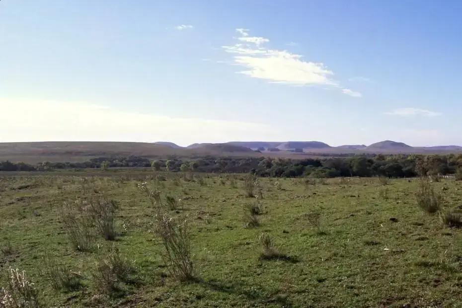 ICMBio abre seleção para 6 vagas de agentes ambientais em Sant’Ana do Livramento