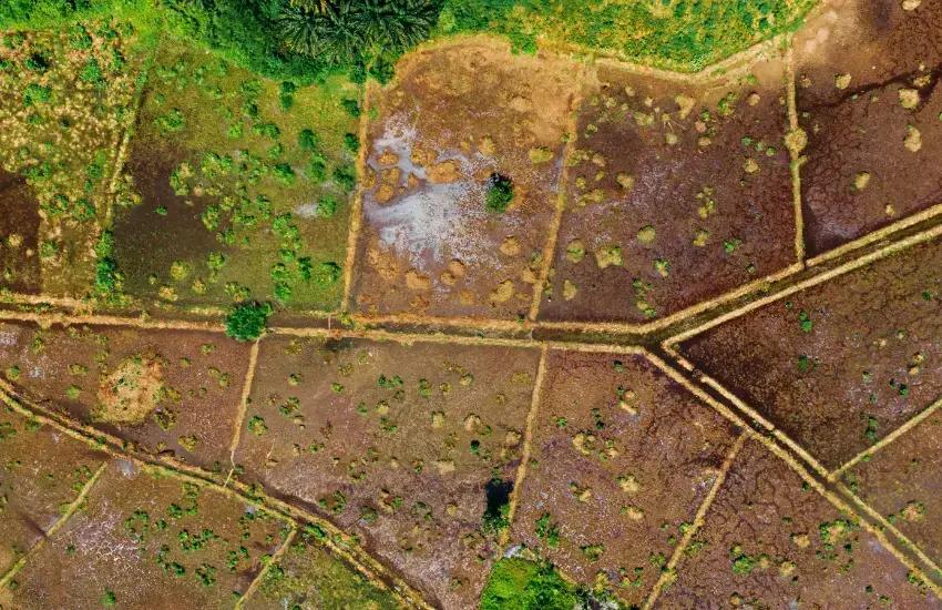 Acordo Histórico Encerrará Conflito Fundiário no Oeste do Paraná