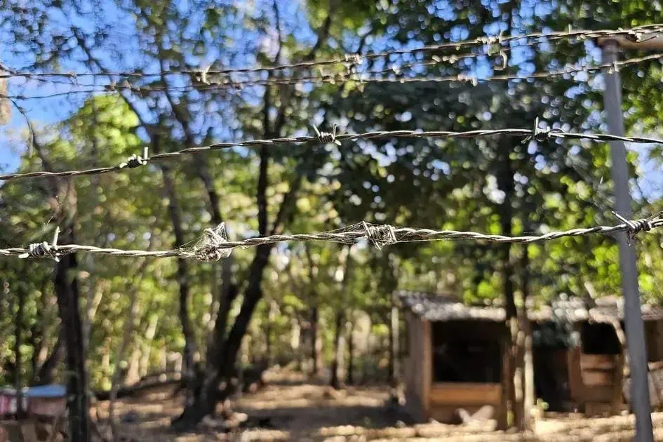 Dia Nacional de Combate ao Trabalho Escravo: A Urgente Luta e Fiscalização