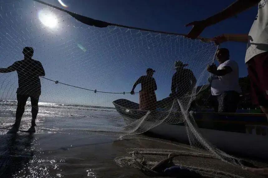 Senado propõe programa de prevenção ao câncer de pele para trabalhadores rurais