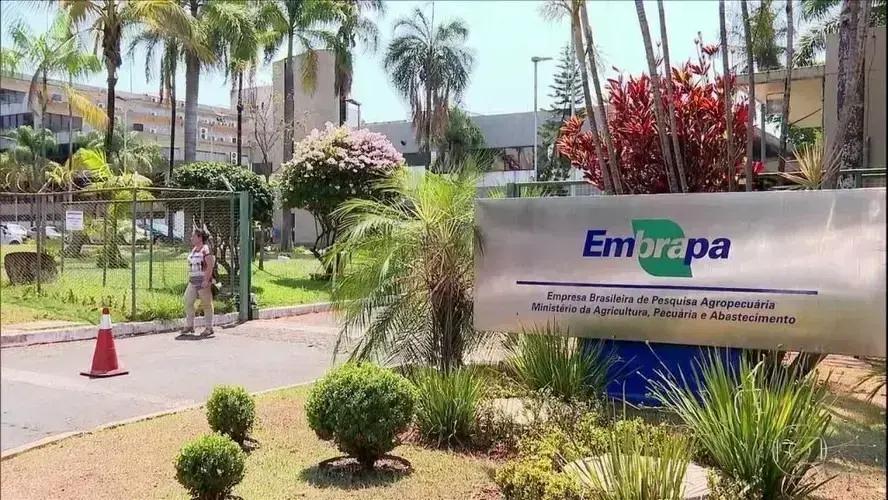 STF afasta cobrança de IPVA de veículos da Embrapa no Maranhão