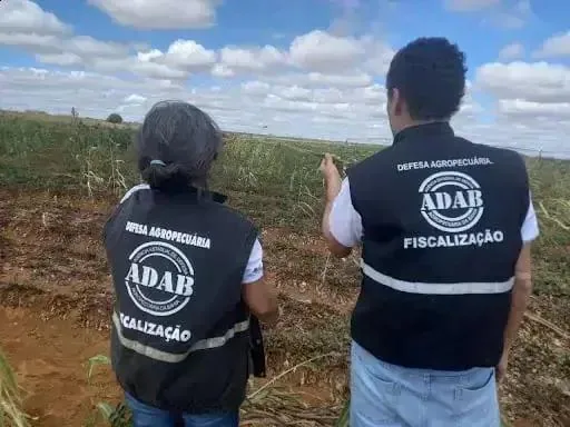 Concurso Adab 2026: 200 Vagas com Salários de até R$7,4 mil