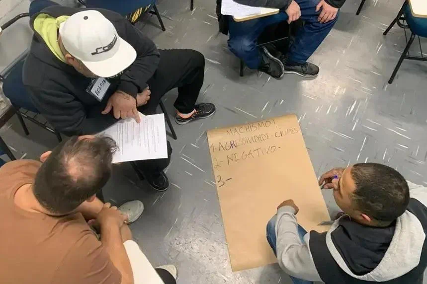 Diretrizes para Grupos Reflexivos de Homens Autores de Violência