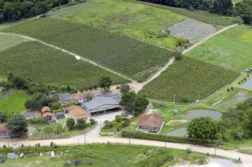 Novo sistema visa fortalecer a segurança no campo com geocercas virtuais