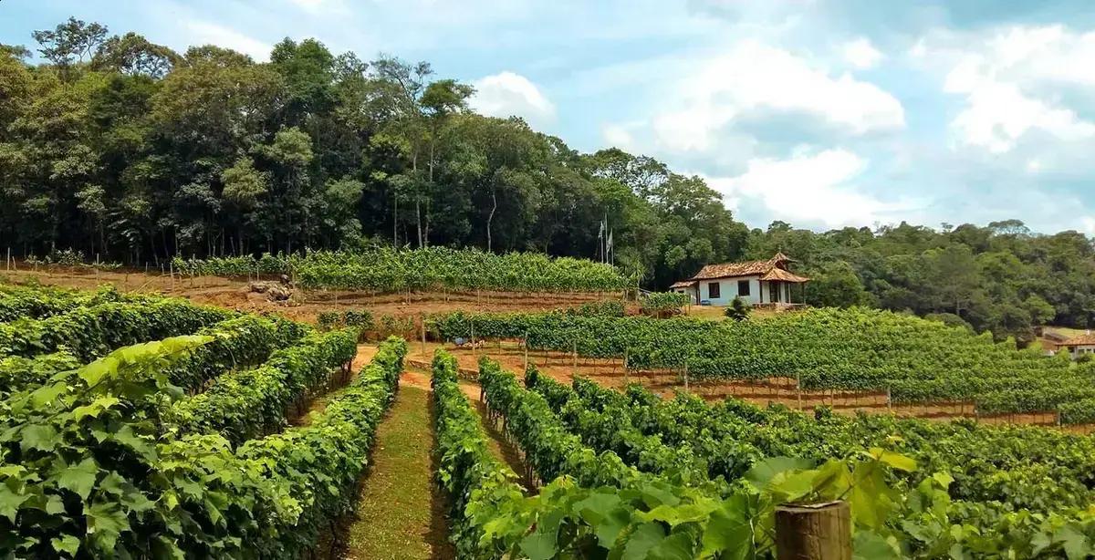 Prefeitura de São Roque abre concursos com seis vagas e salários de até R$7.860