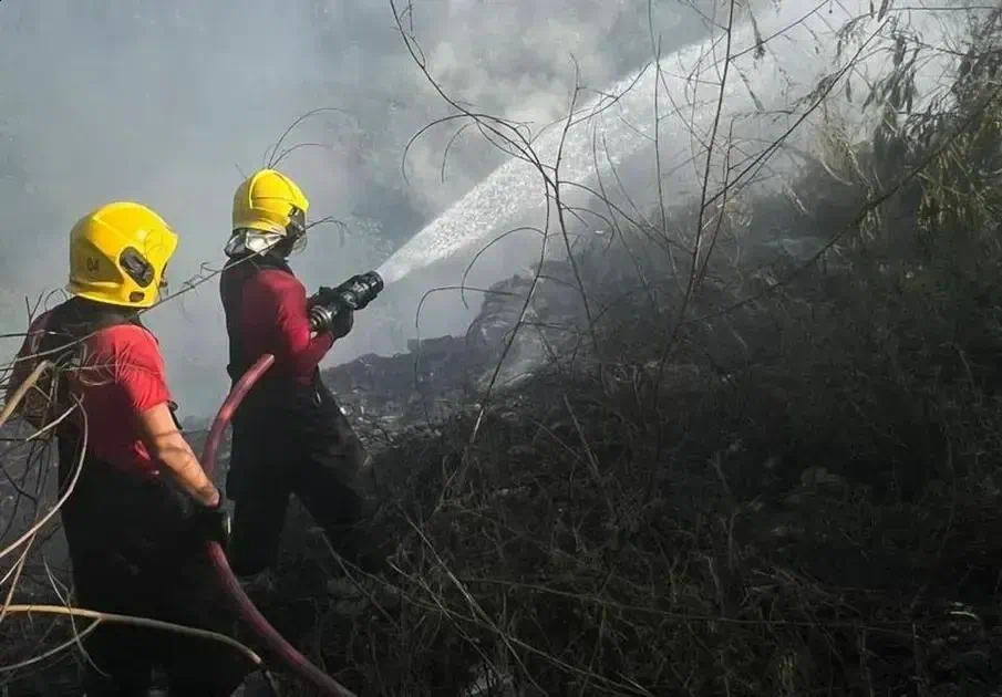 Corpo de Bombeiros Roraima abre vagas para brigadistas em processo seletivo