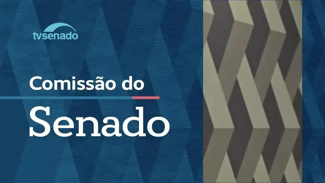 Debate no Senado sobre reparação de danos no Código Civil, veja tudo