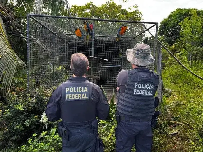 Operação Extinção Zero: PF desarticula tráfico de animais silvestres no Brasil