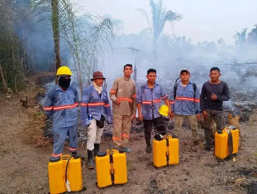 SEMAS Pará abre seleção de brigadistas florestais em 2026