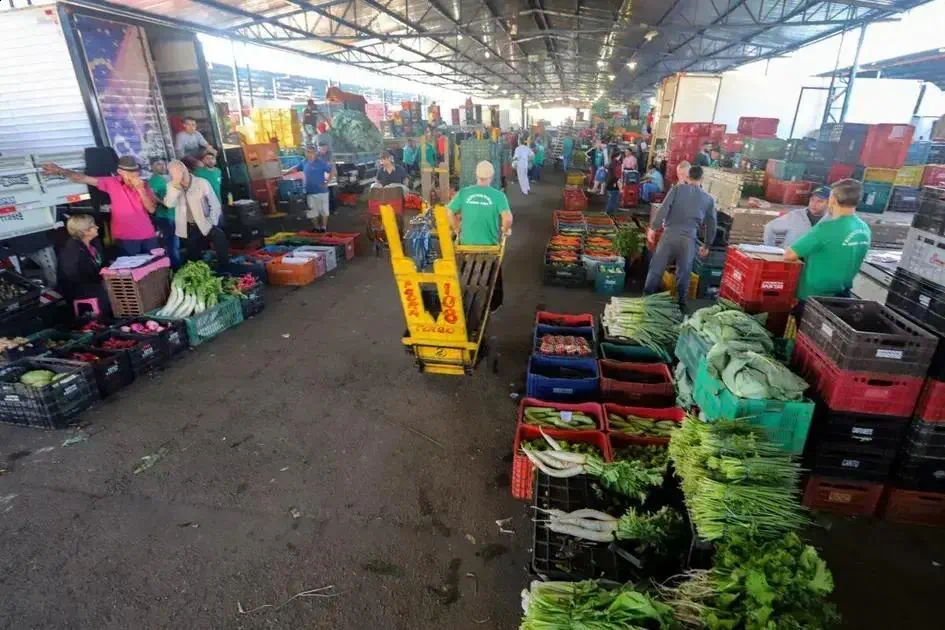 STF Reconhece Imunidade Tributária para Ceasa do Paraná em Decisão Recente