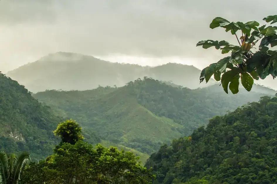 ICMBio abre seleção para agente ambiental no Parque Alto Cariri BA