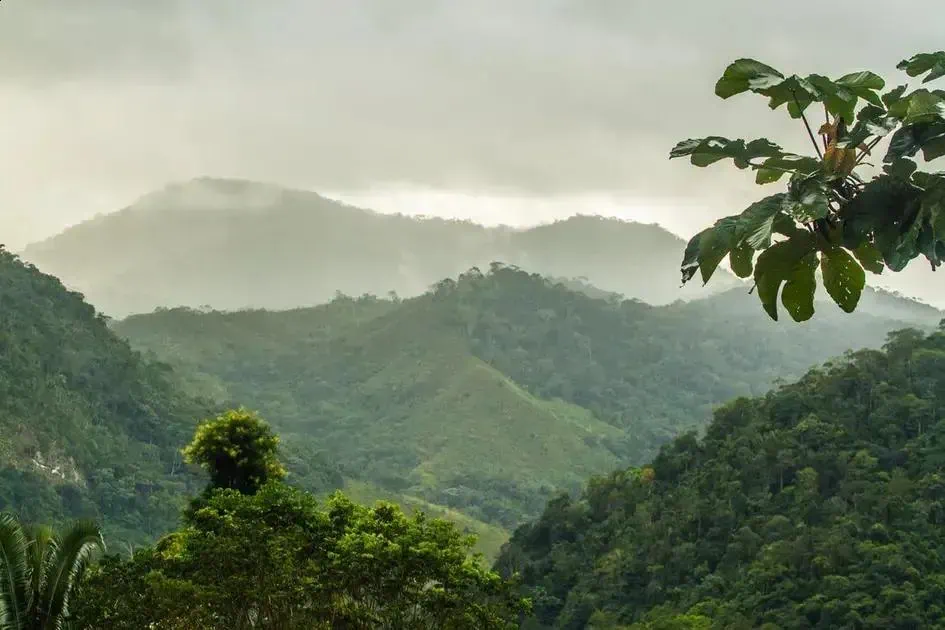 ICMBio abre seleção para agente ambiental no Parque Alto Cariri BA