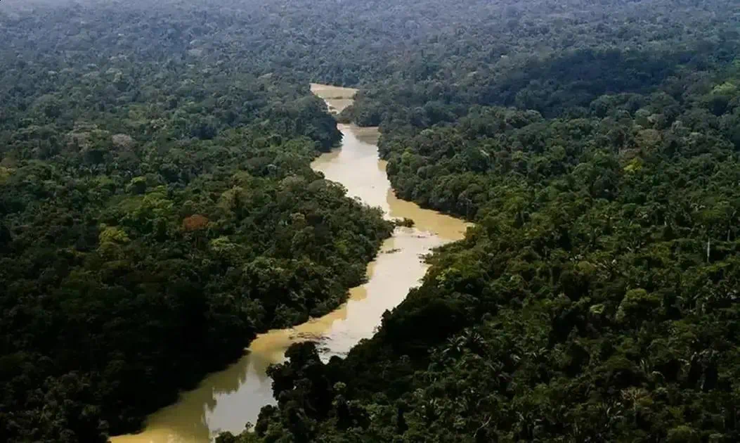 STF determina medidas imediatas contra crime organizado na Amazônia