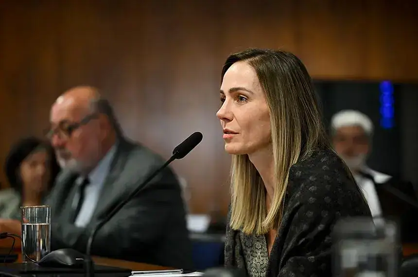 Conselho de Comunicação debate desinformação e uso de IA nas eleições