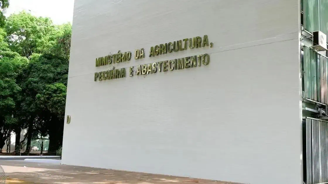 Mapa solicita novo concurso com 210 vagas; veja cargos e salários