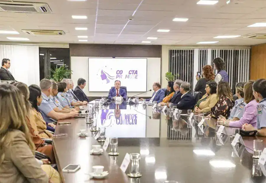 Conecta Promuse agiliza fiscalização de medidas protetivas no MS