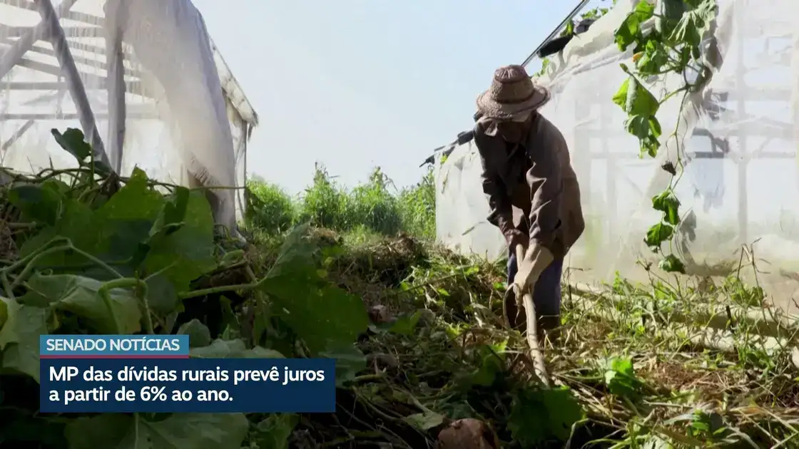 MP autoriza renegociação de dívidas rurais com juros a partir de 5% ao ano