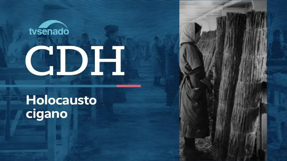 CDH debate memória do Holocausto Cigano e medidas de preservação