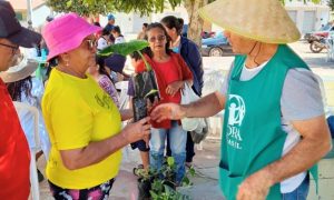 ADRA Brasil Uma Ponte de Esperança e Transformação Social no País