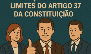 Publicidade e promoção pessoal limites do artigo 37 da Constituição