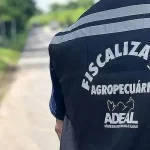 Adeal: comissão formada e concurso com 40 vagas para fiscal agropecuário