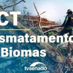 CCT debate o monitoramento de desmatamento de biomas no Senado