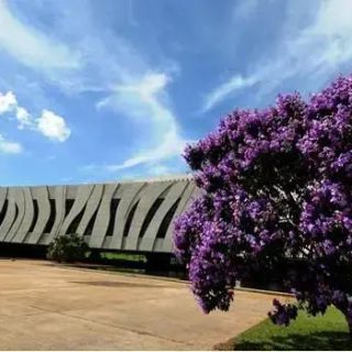 CFOAB defende pagamento de honorários após morte de cliente no STJ